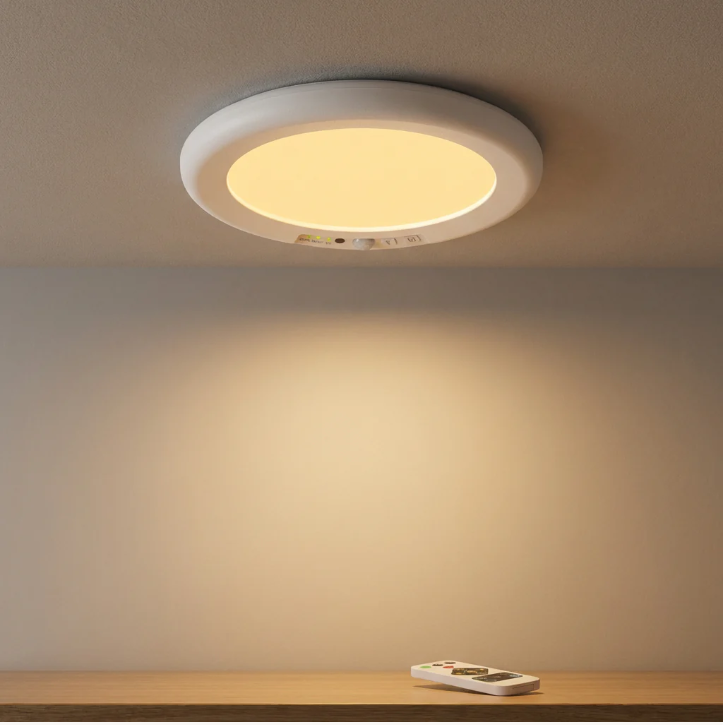 Heritage™ RBIC Smart Light